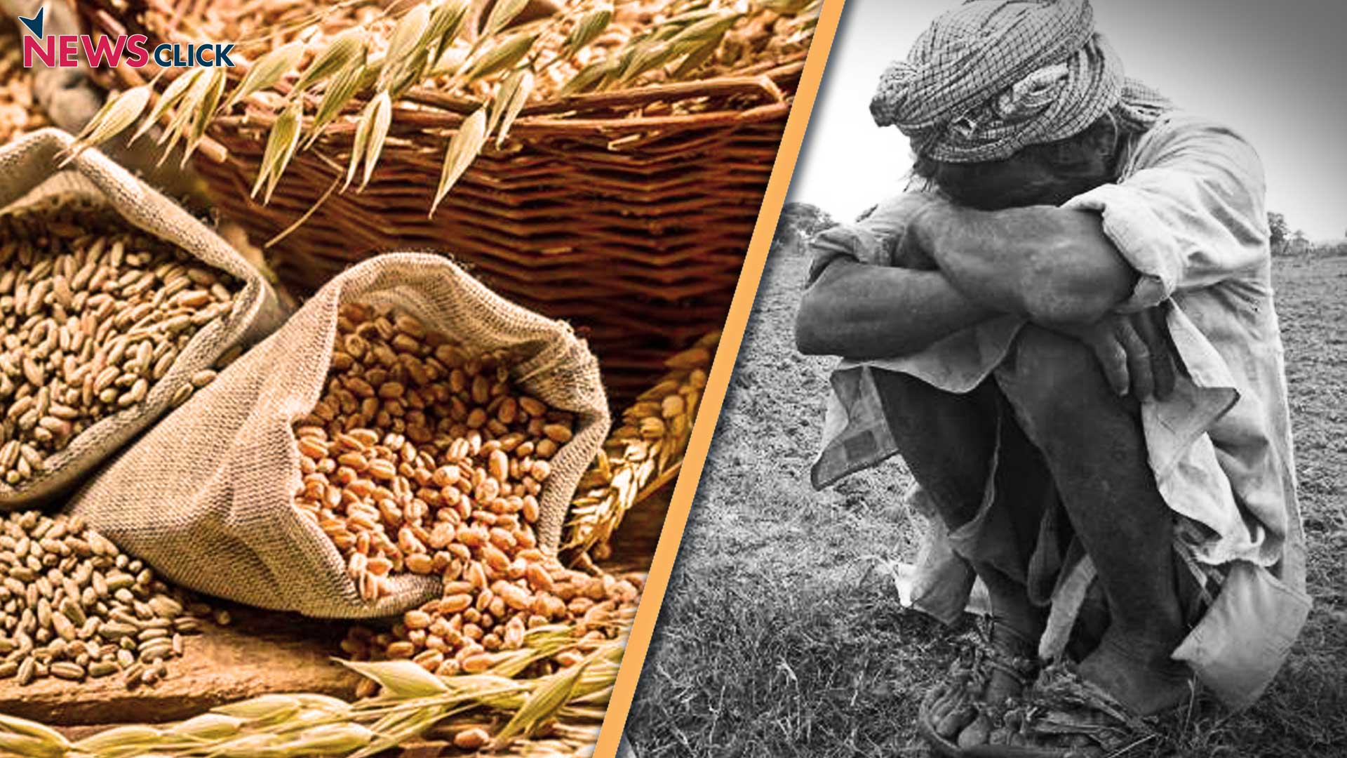 record-food-grain-production-yet-people-are-not-getting-more-newsclick